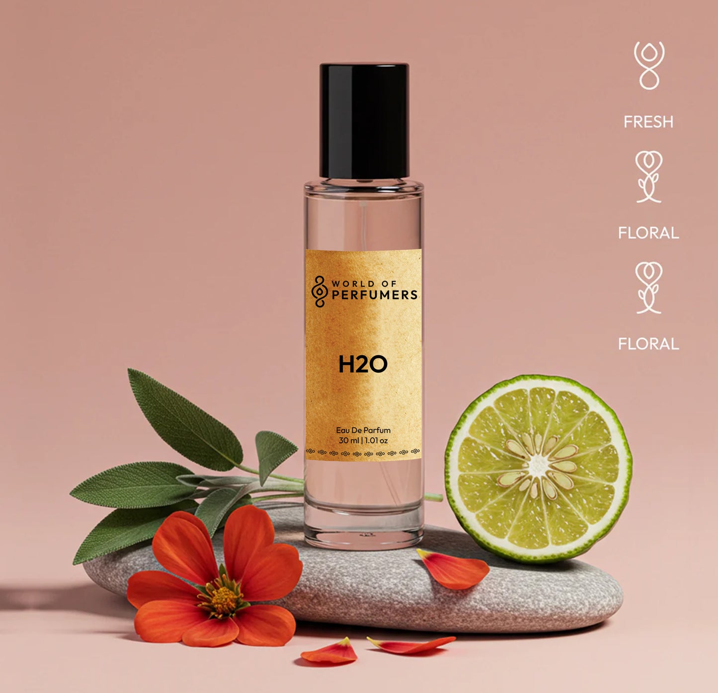 30ml
