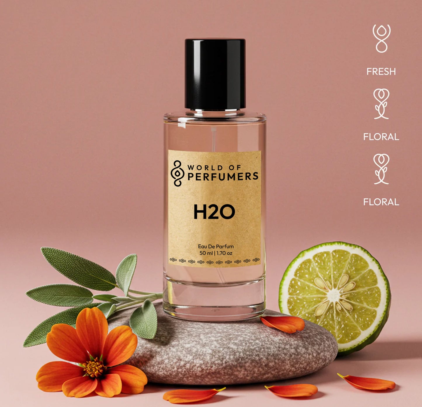 50ml