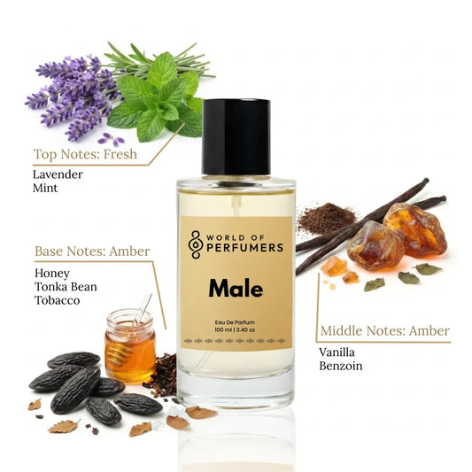 Male – Inspired by JPG Le Male Elixir