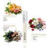 10ml