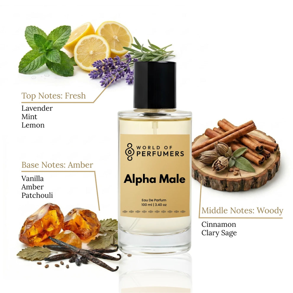 Alpha Male Perfume – Inspired by Ultra Male EDT | World of Perfumers