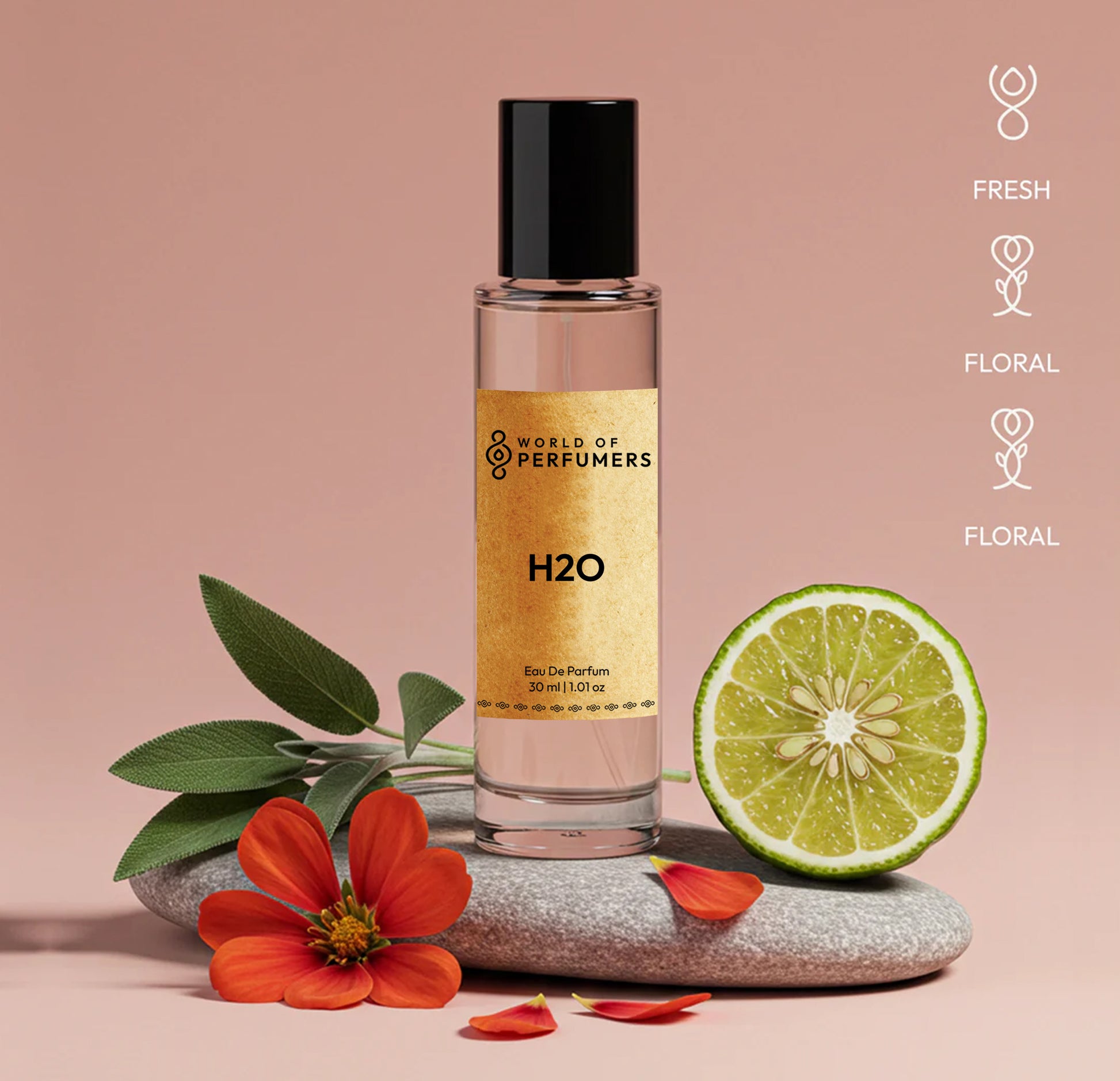 30ml