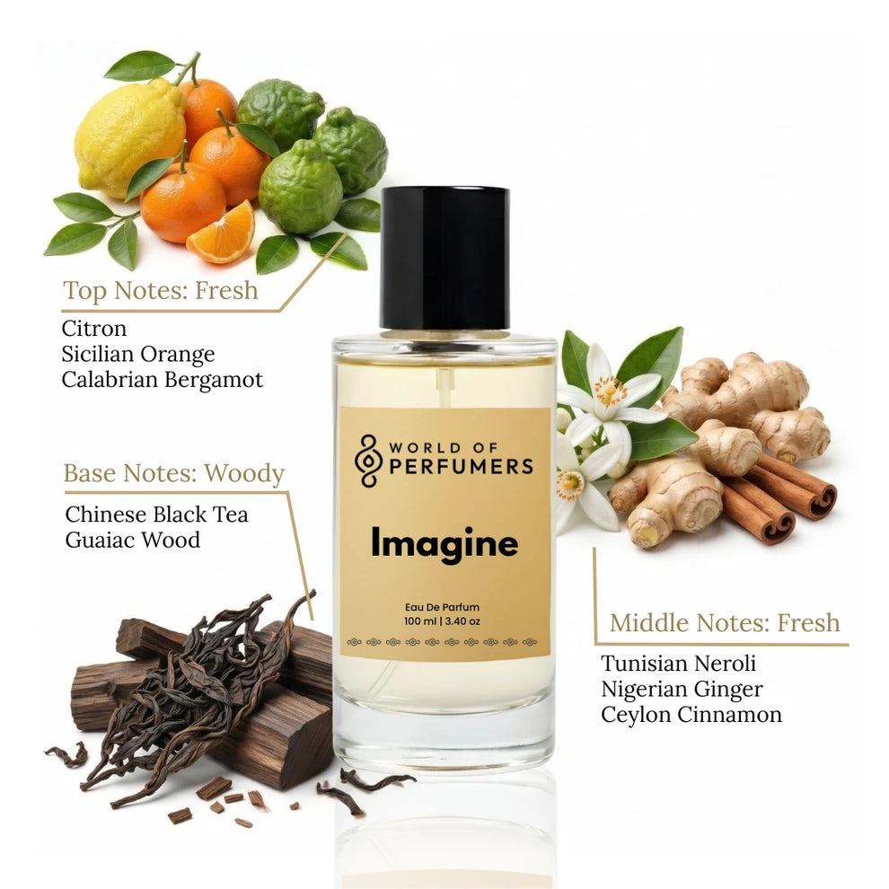 Imagine Perfume – Luxury Citrus Aromatic Fragrance | World of Perfumers