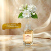 Arabian Jasmine - Mogra
