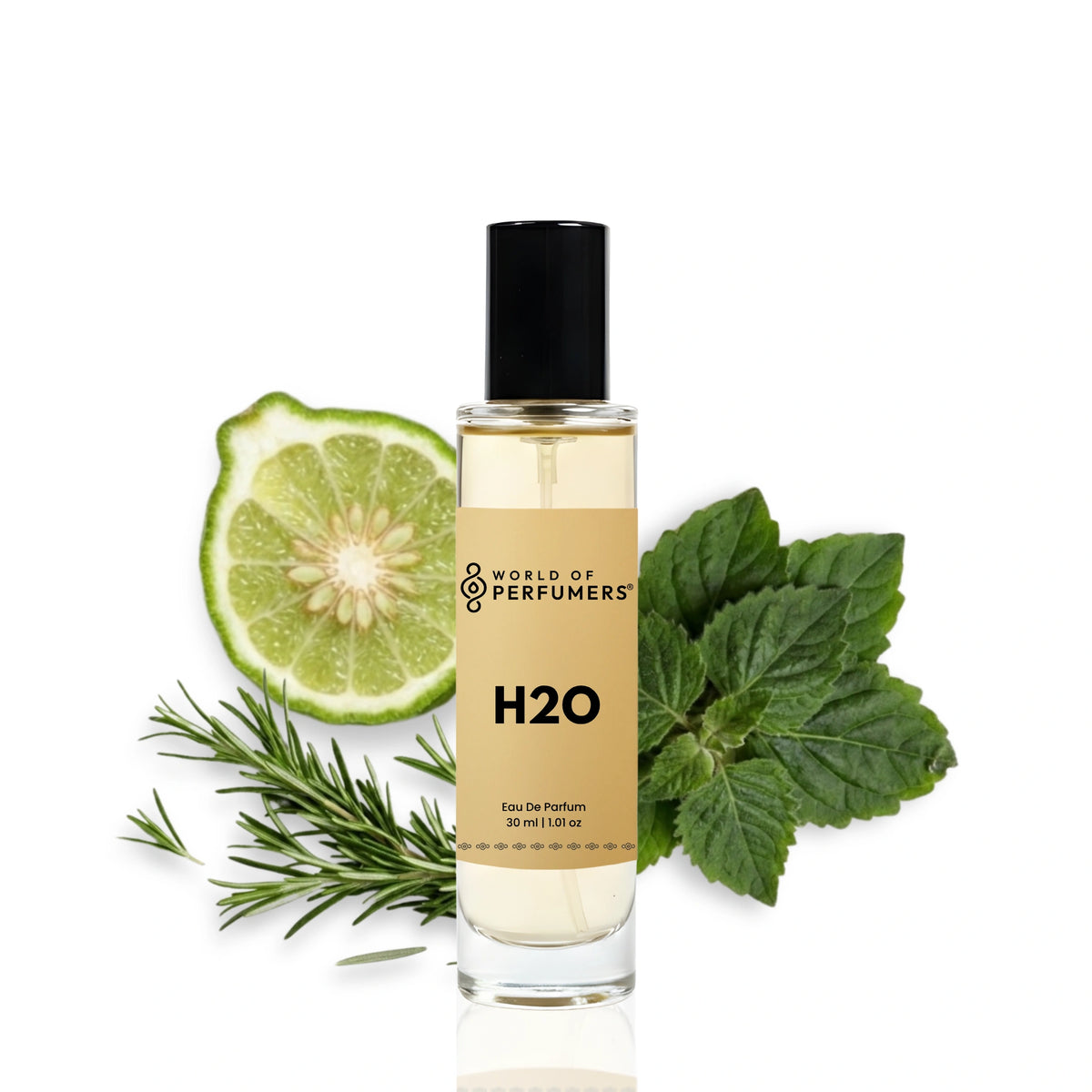 30ml