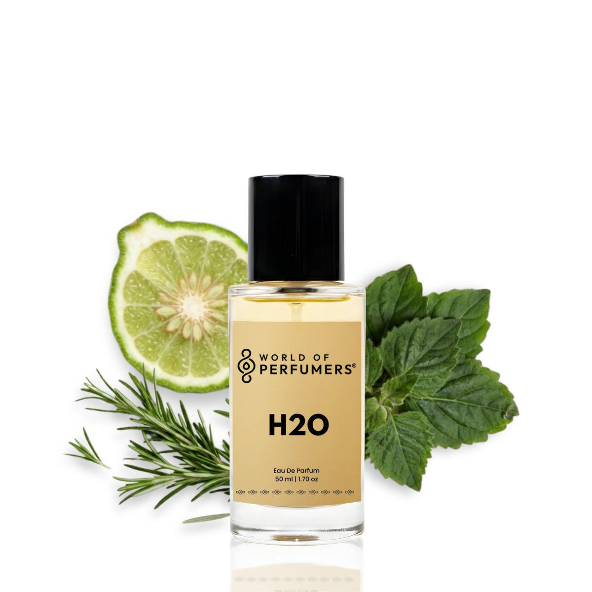 50ml