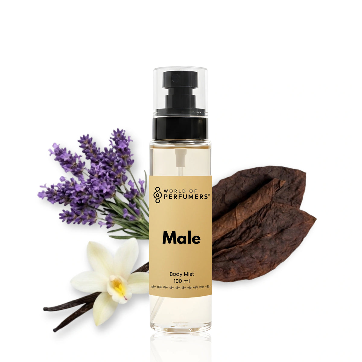 body100ml