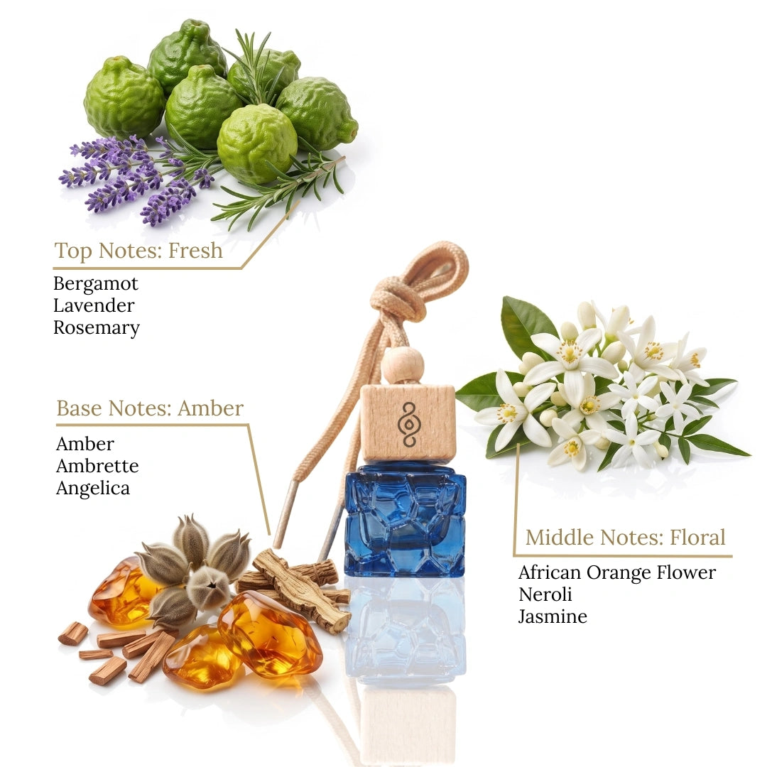 car10ml