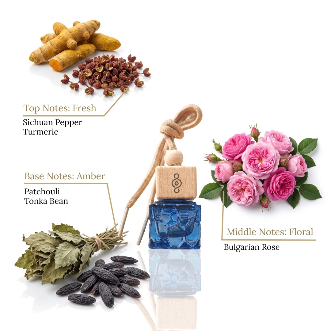 car10ml