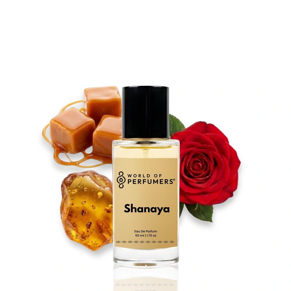 50ml