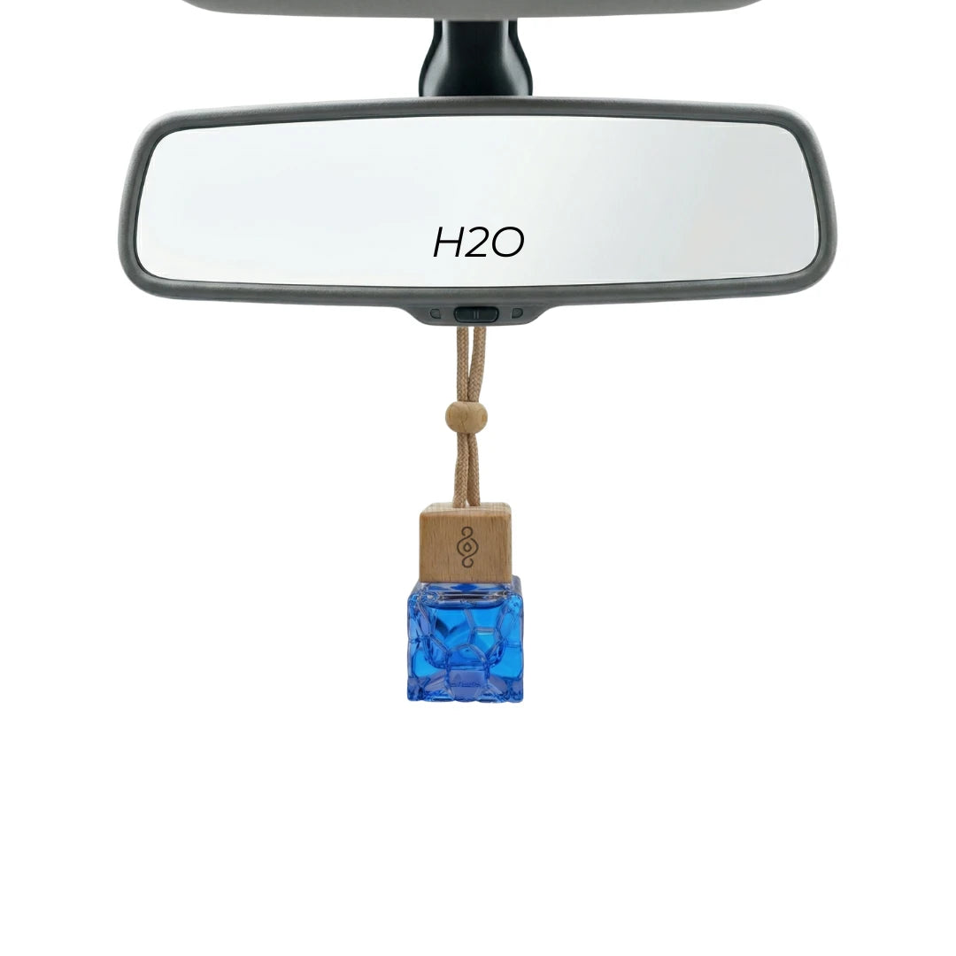 Car10ml